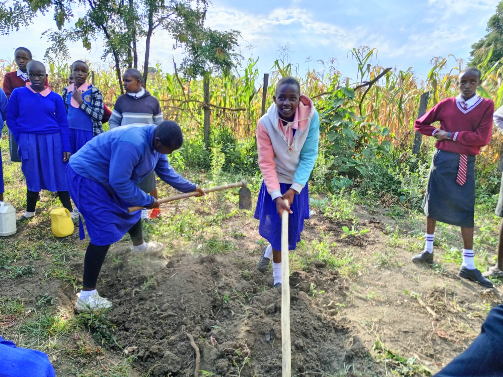 Kopito Women Foundation Website - View 4
