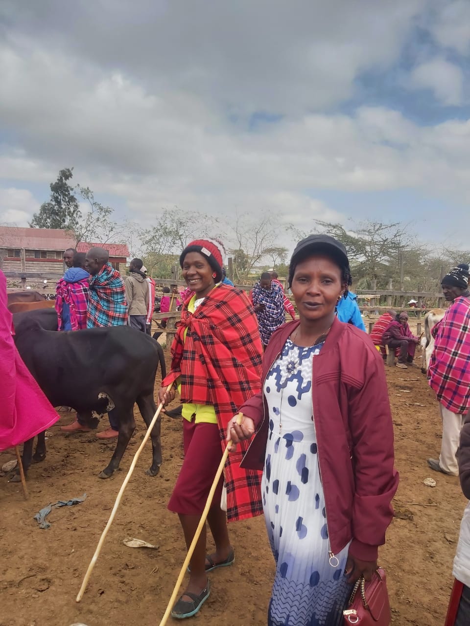 Kopito Women Foundation Website - View 2
