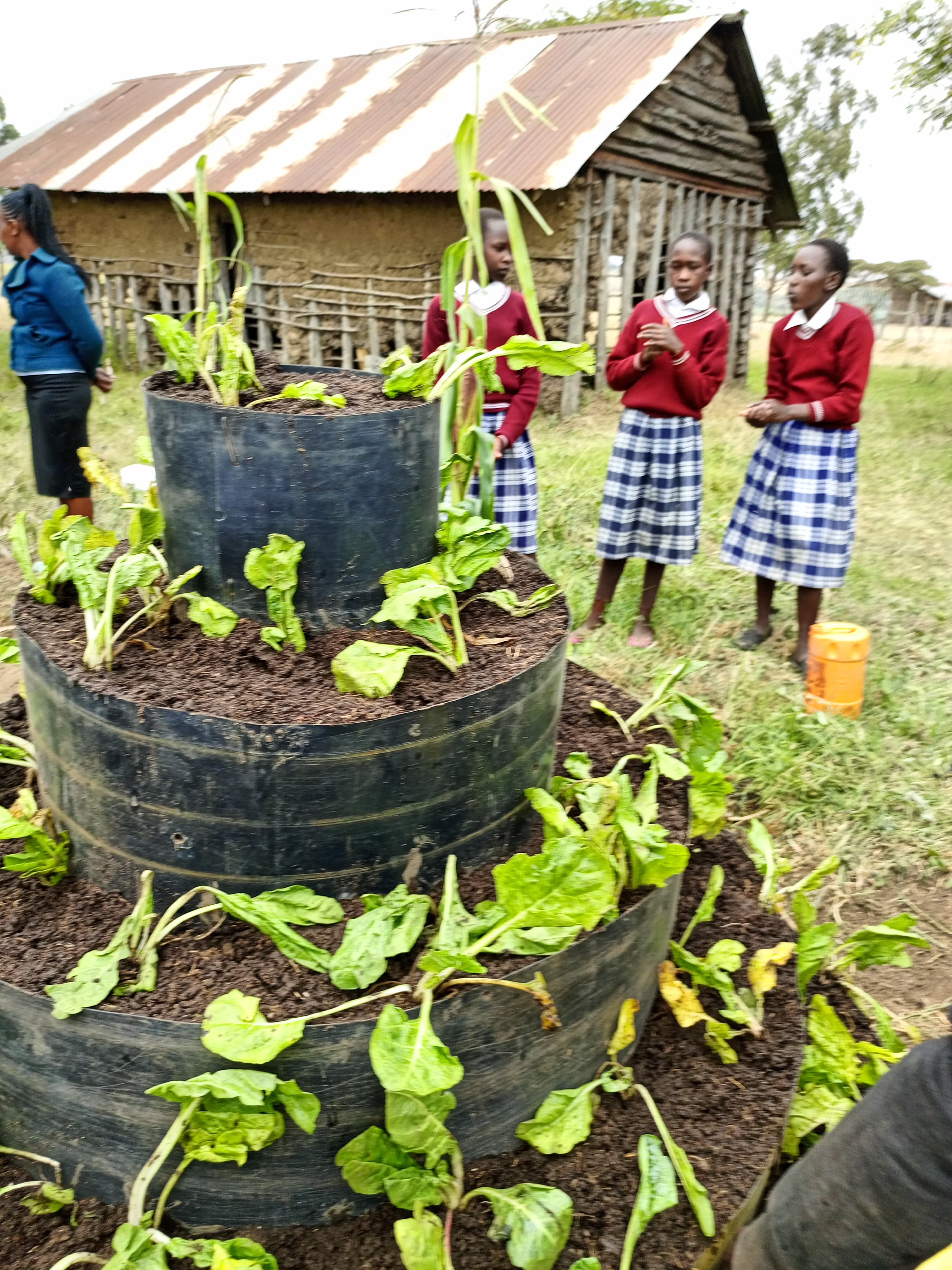 Kopito Women Foundation Website - View 5
