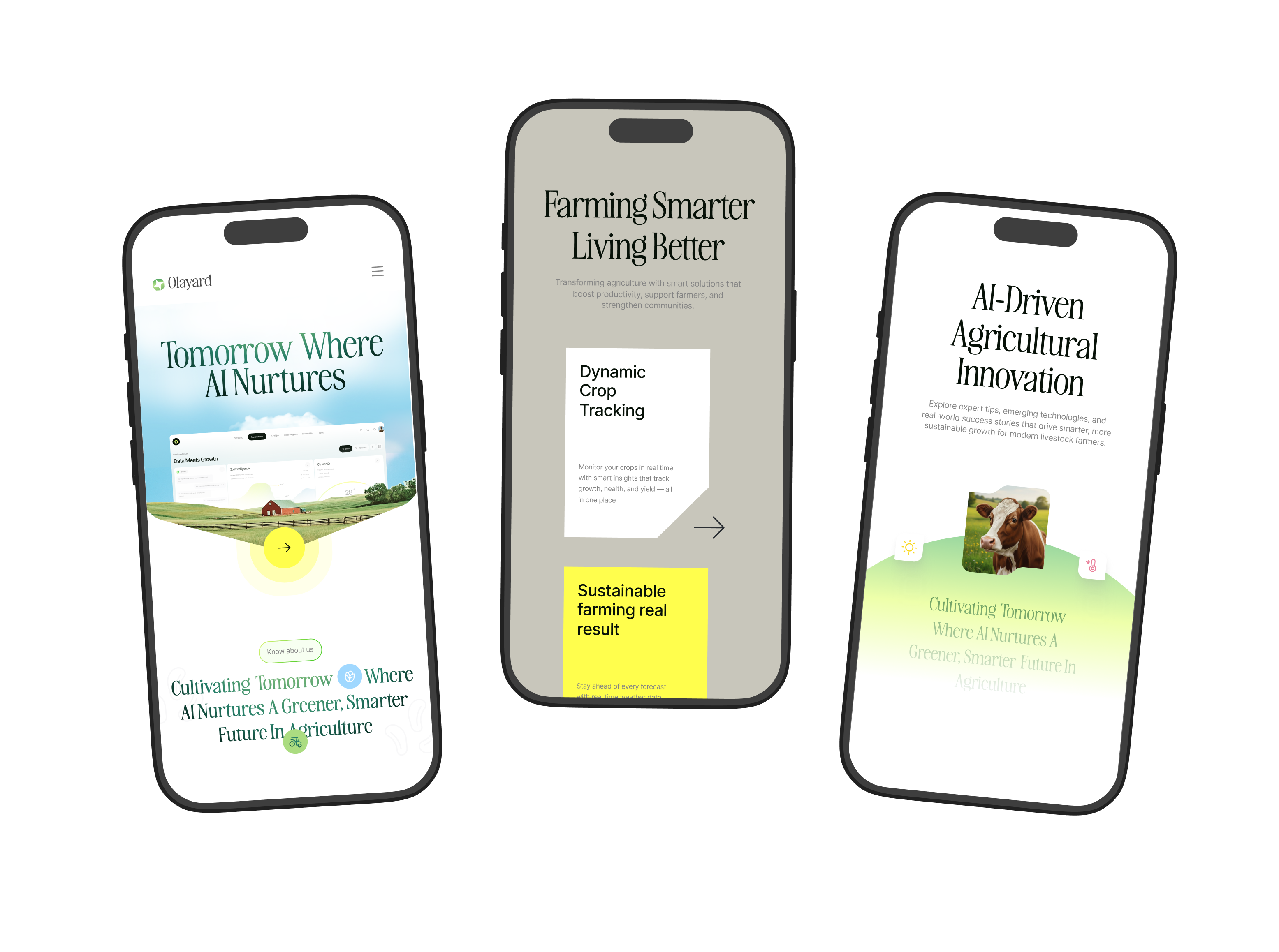 Olayard - AI Agriculture Farming Business Solution Case Study - View 3