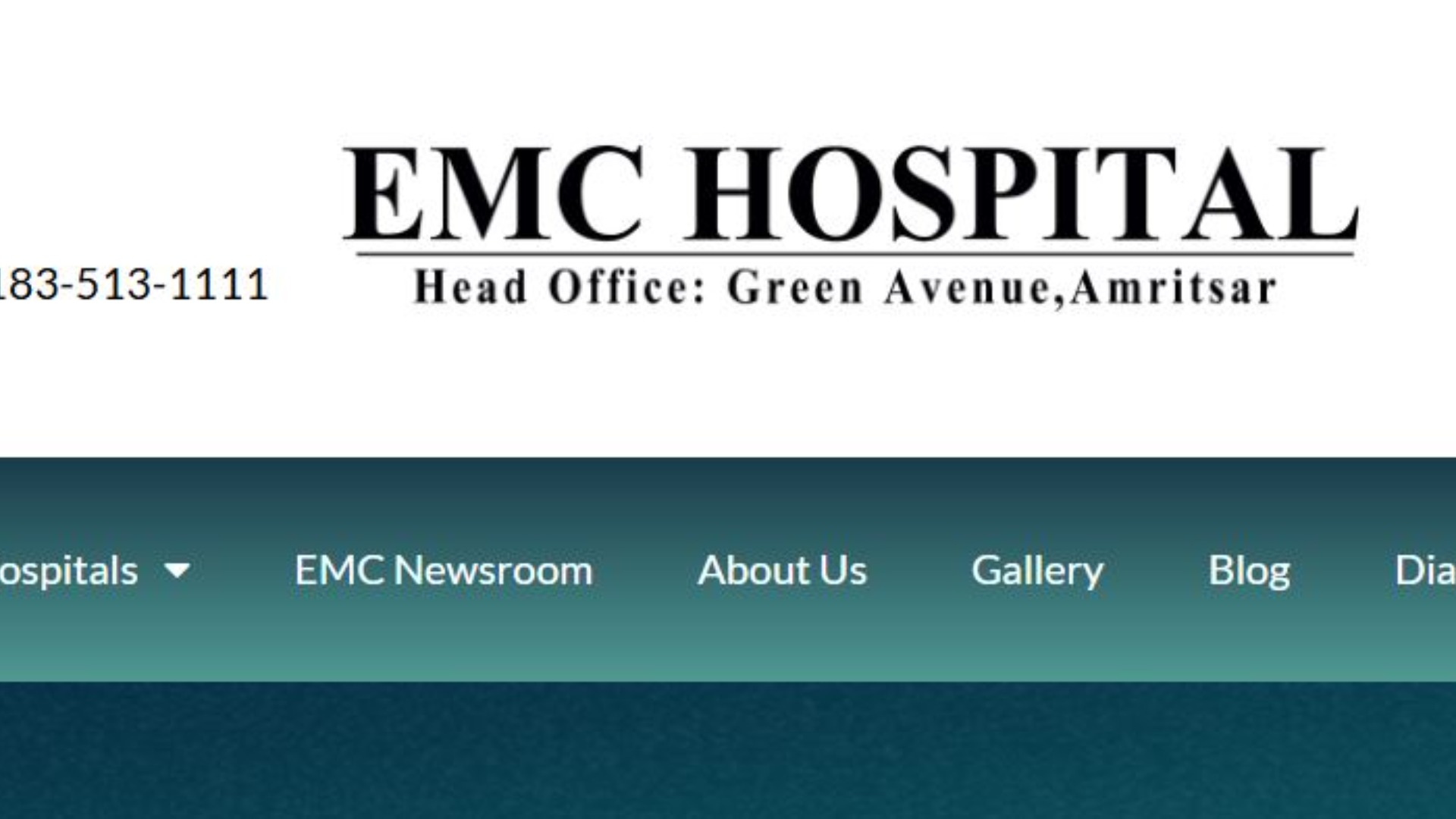 EMC Group of Hospitals