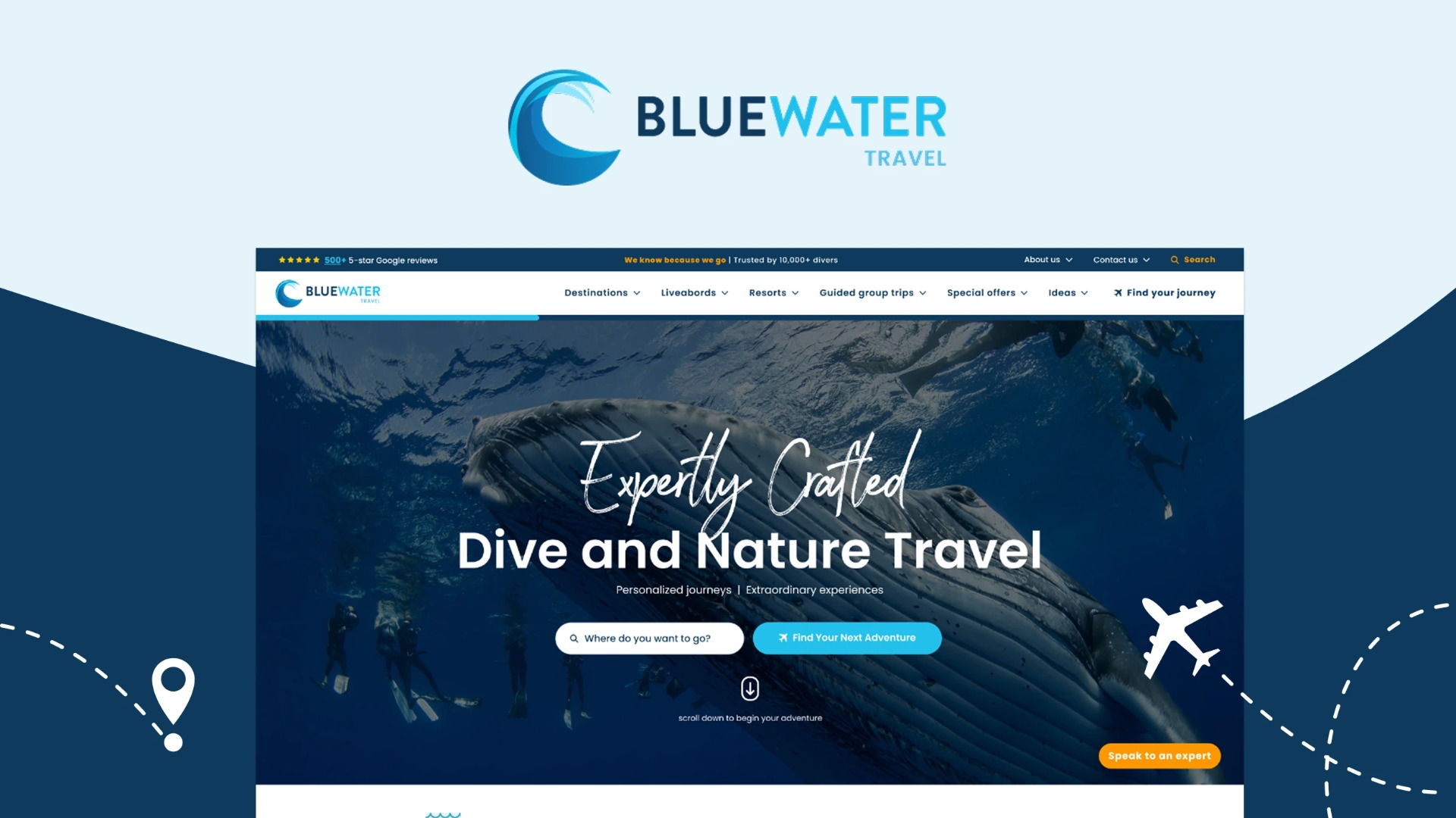 Bluewater Travel - Unforgettable dive experiences