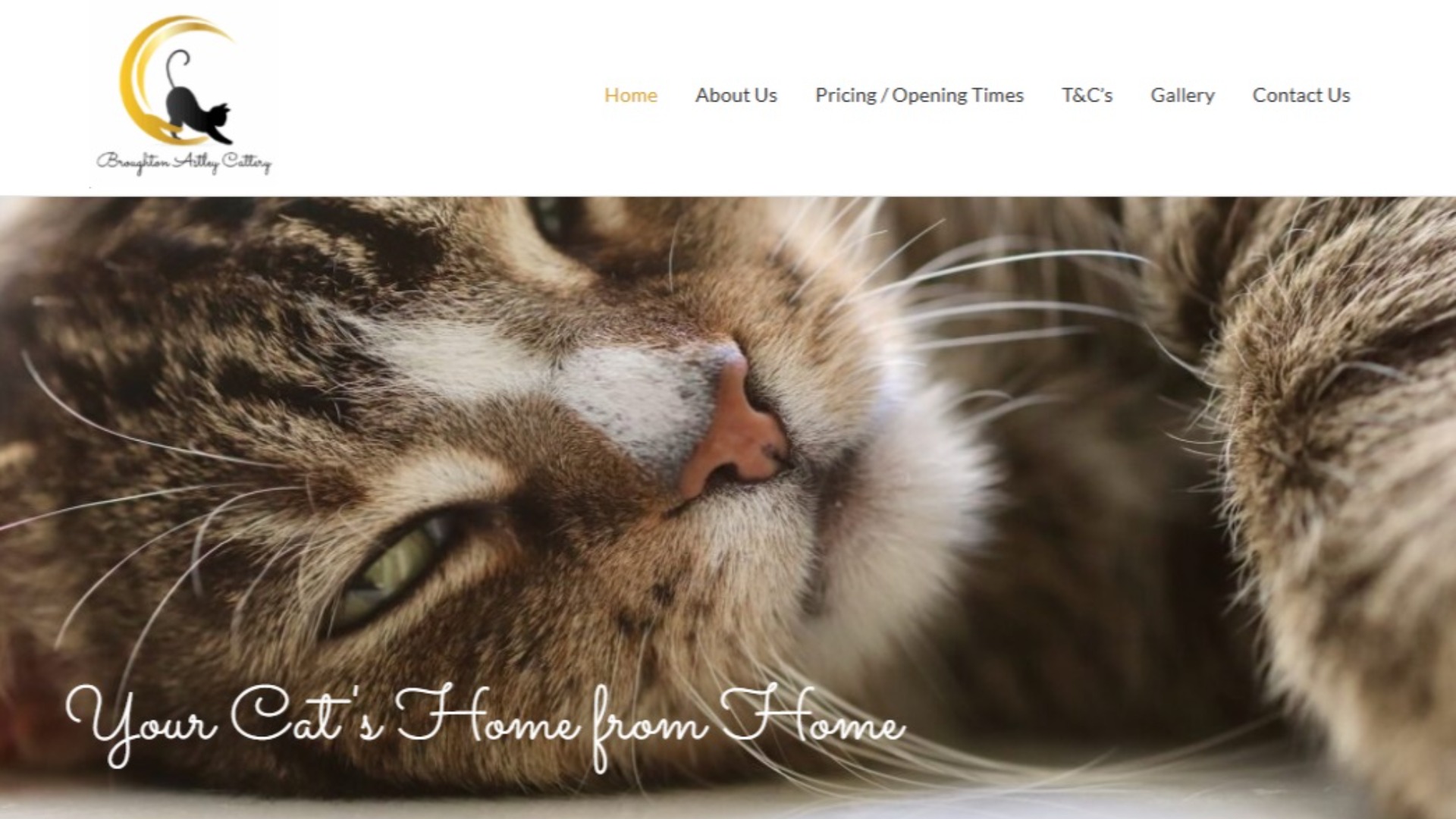 Broughton Astley Cattery