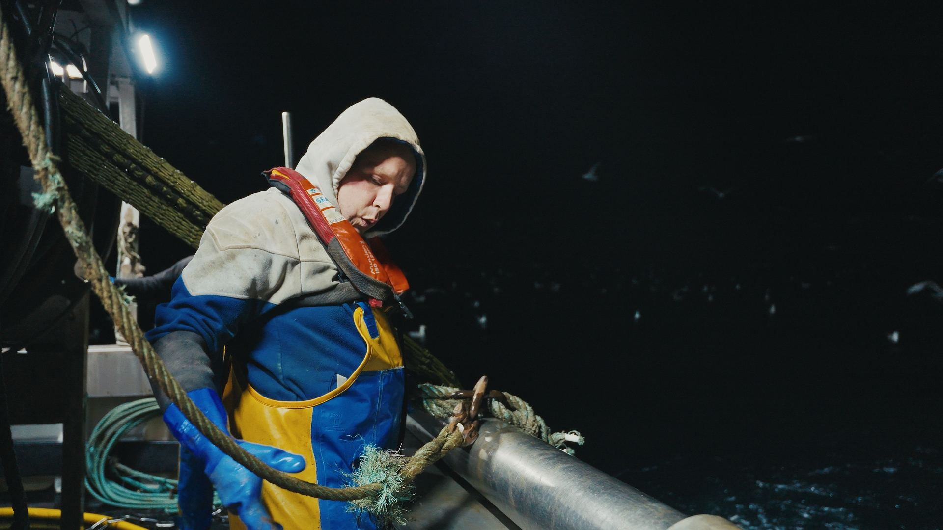 Nets of Tomorrow - A Collaborative Effort to Sustain Fisheries and Marine Life - View 6