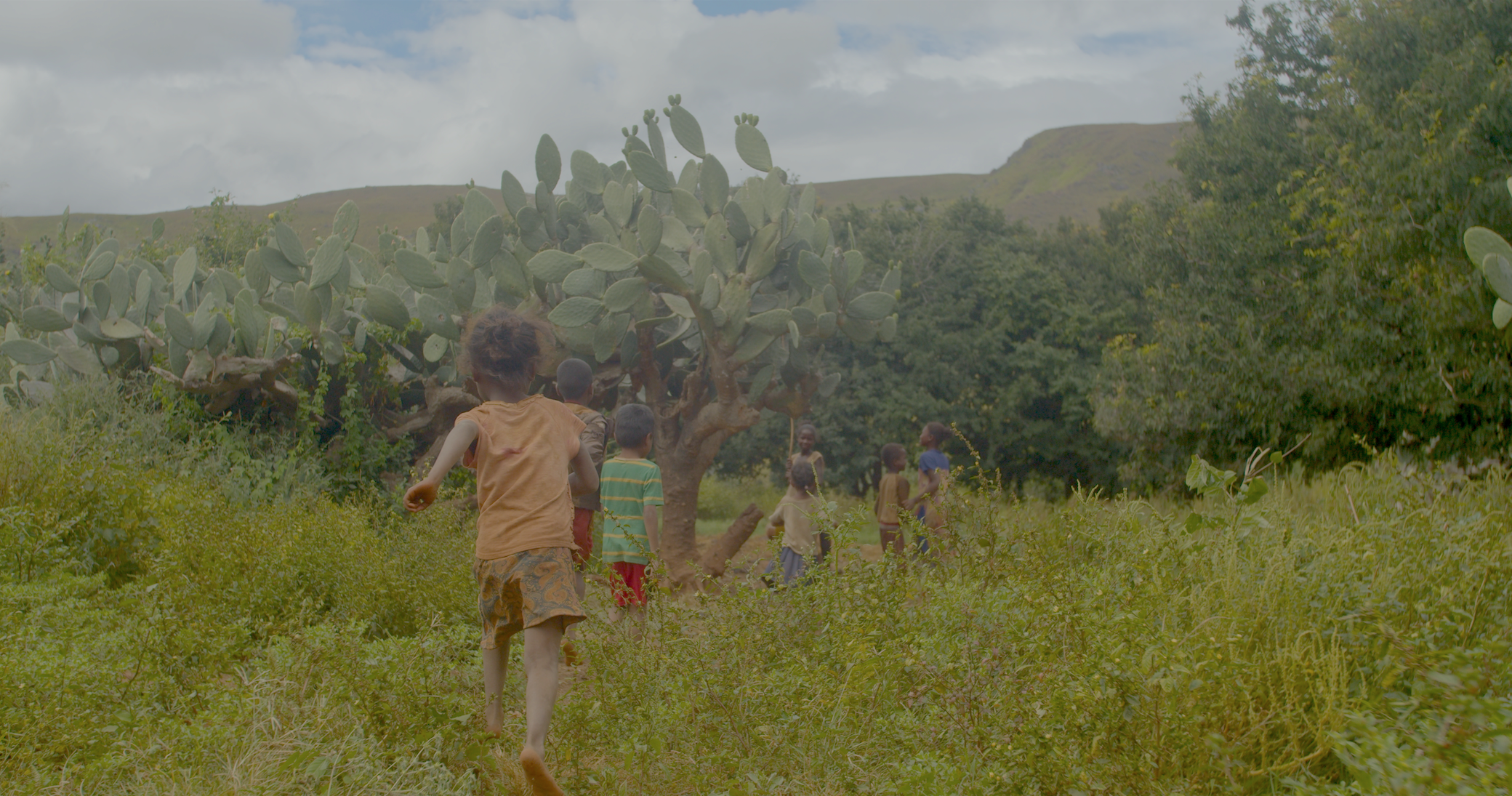 VOX's episode "What's in this crater in Madagascar"  - View 1