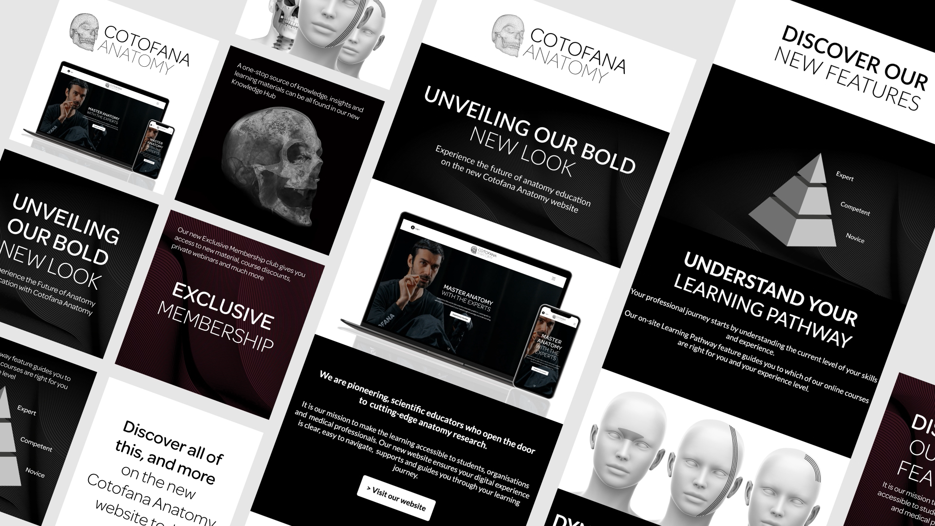 Cotofana Anatomy Branding | Website | Marketing - View 4