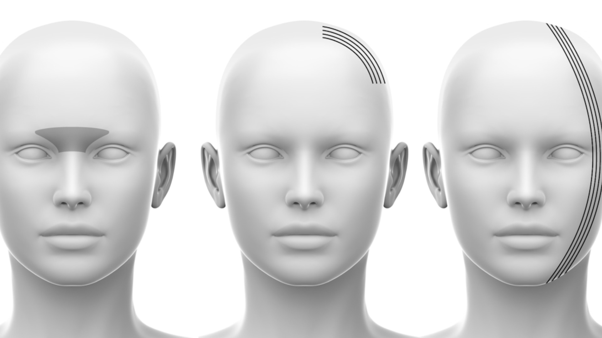 Cotofana Anatomy Branding | Website | Marketing