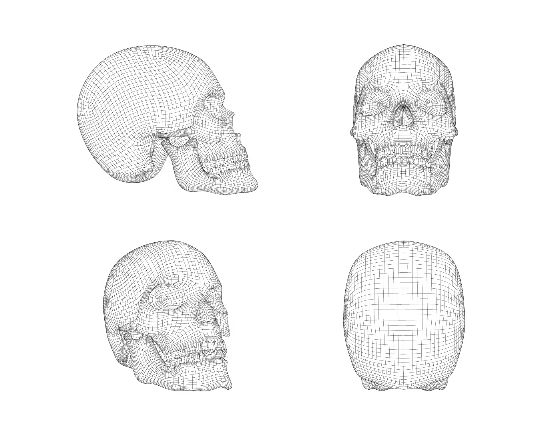 Cotofana Anatomy Branding | Website | Marketing - View 3