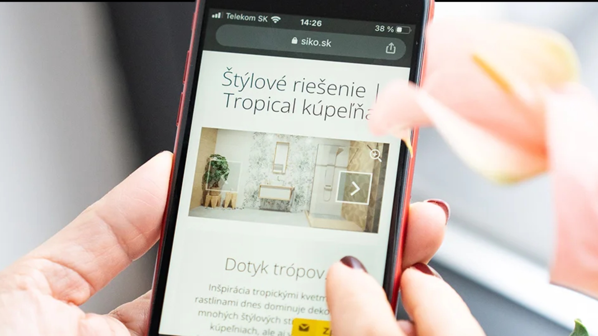 E-commerce Solution for the B2B Segment on SAP Commerce