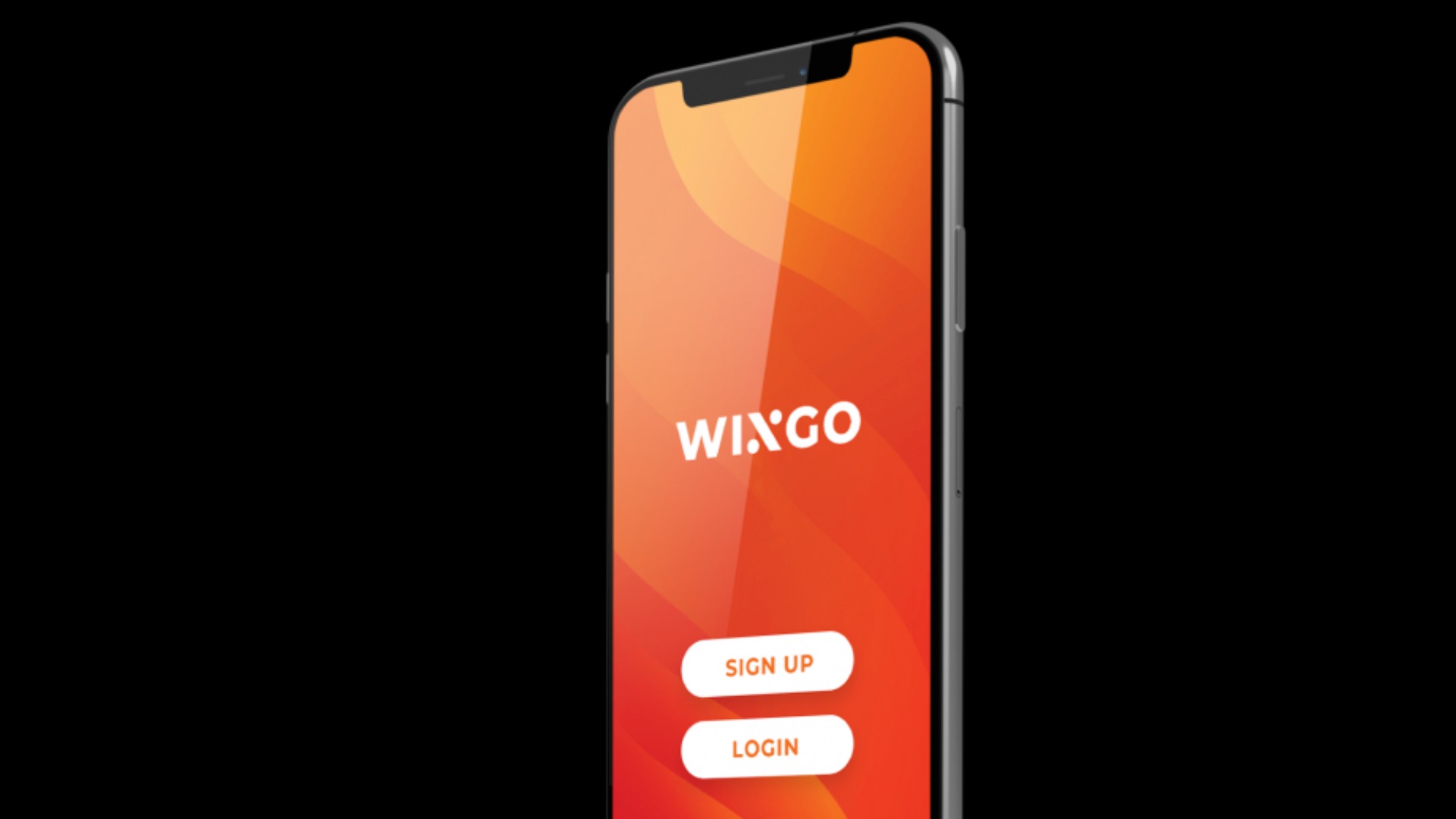 Wingo Motion Graphic Videos