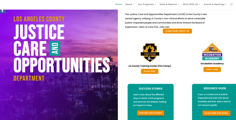 Branding & User Experience for LA County - View 1