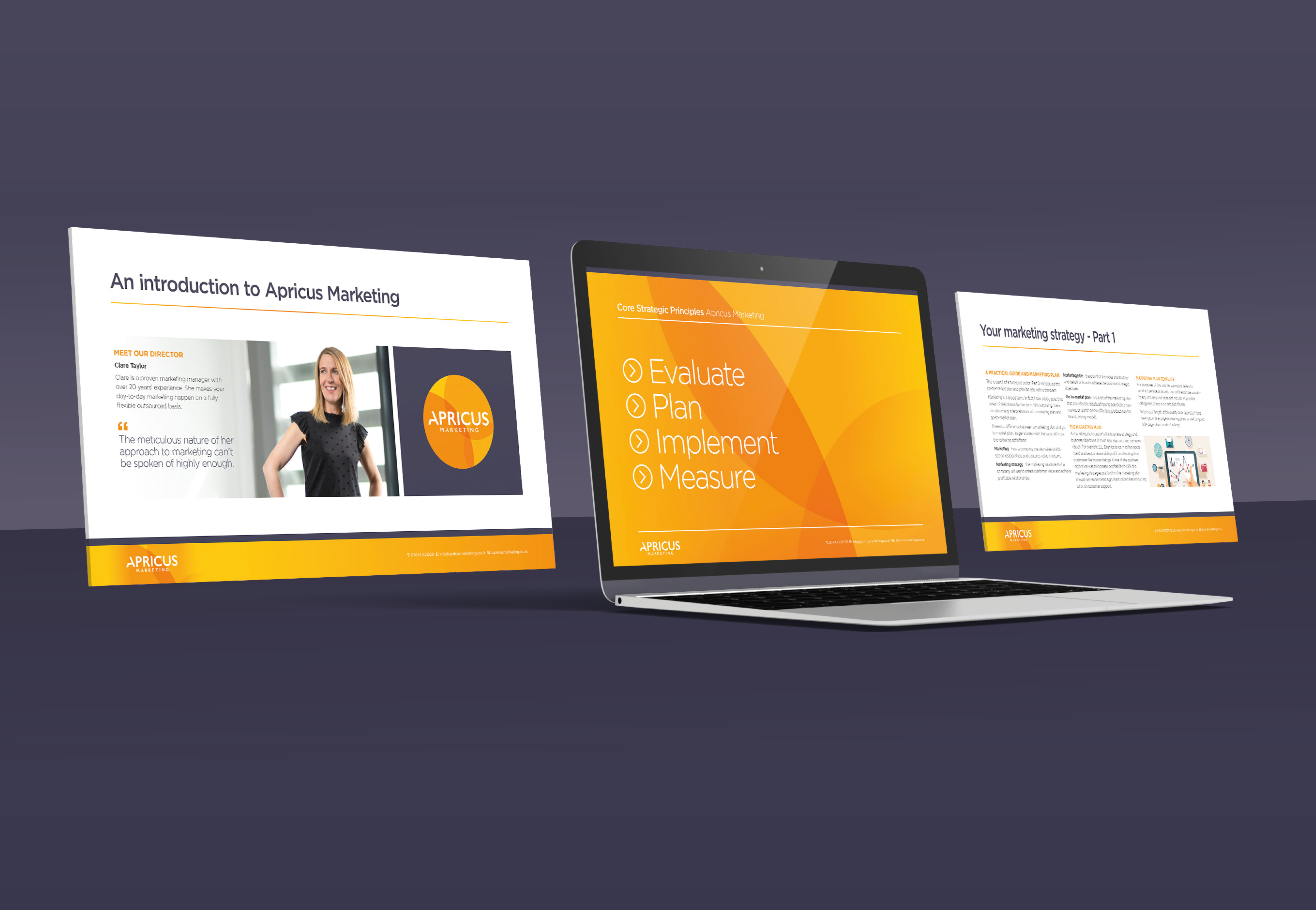 Brand Identity Design for Apricus Marketing - View 3