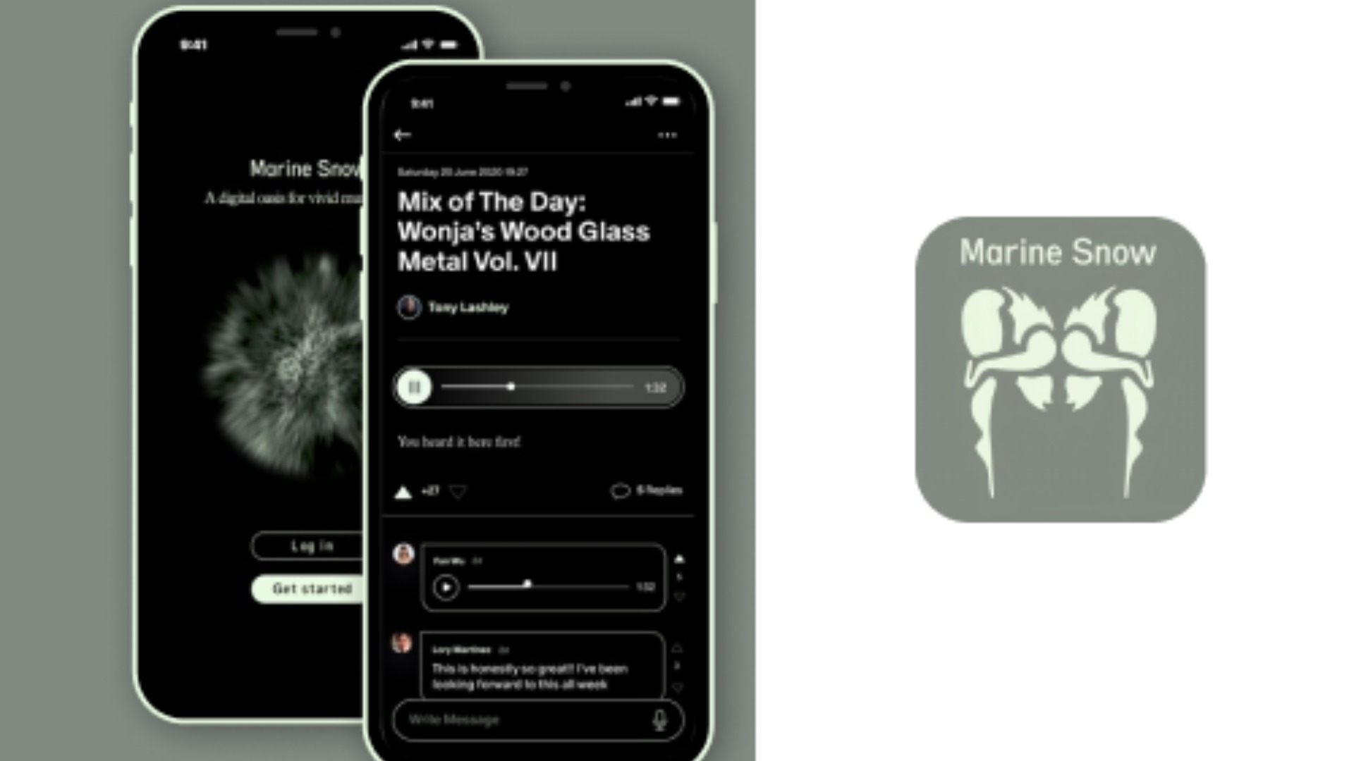 SOCIAL NETWORK-STYLE MUSIC APP
