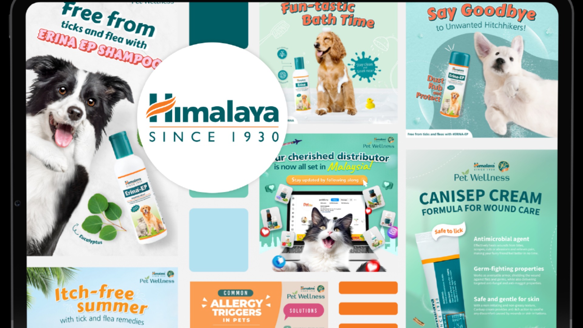 Himalaya Pet Wellness Content - Signapore