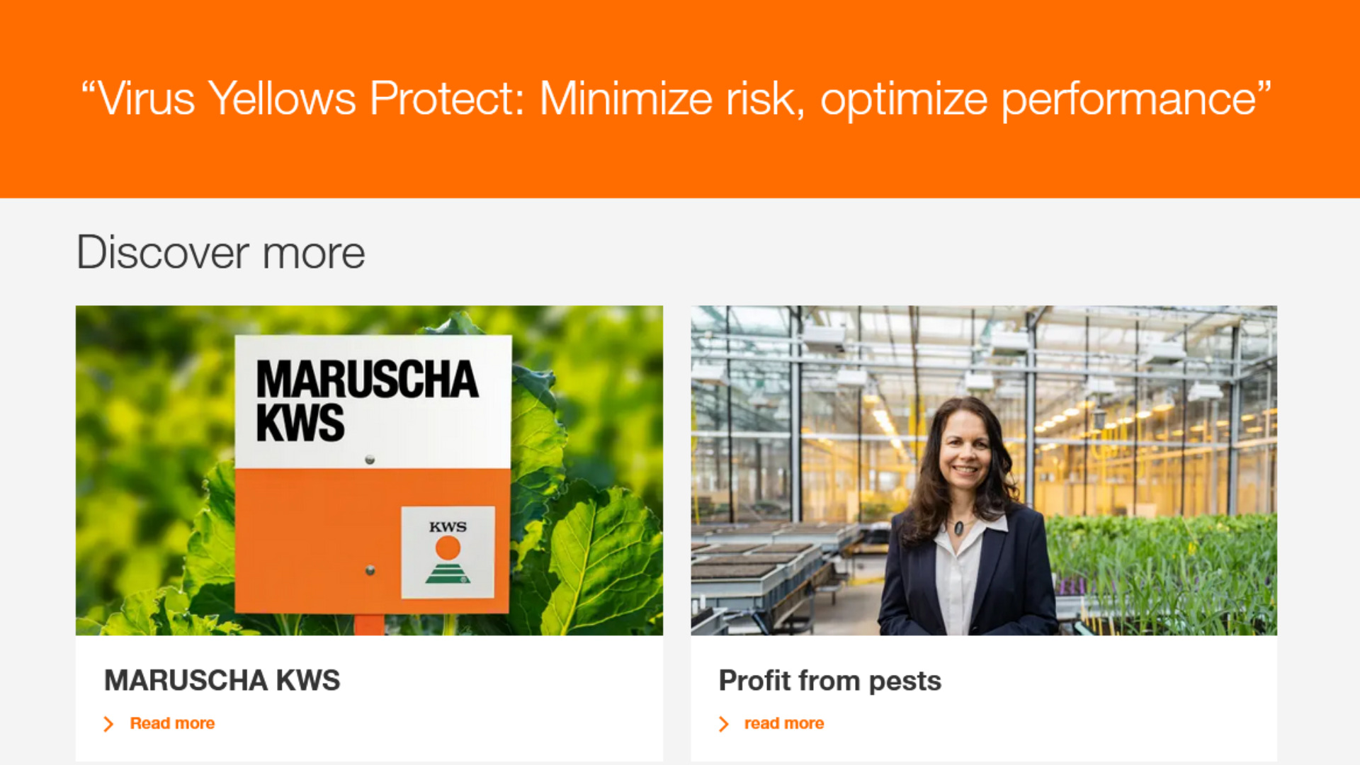 A slogan to capture the essence of a new plant breed