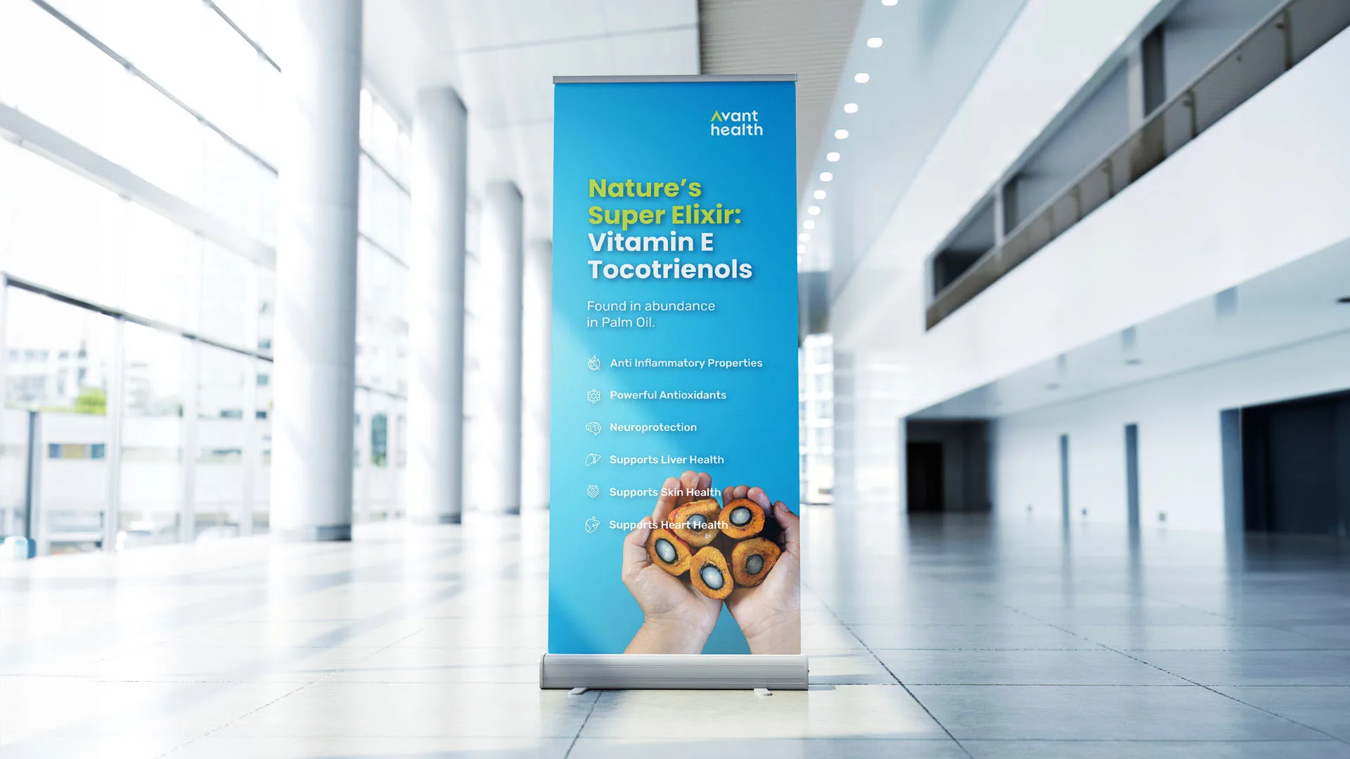 Branding AvantHealth - View 6