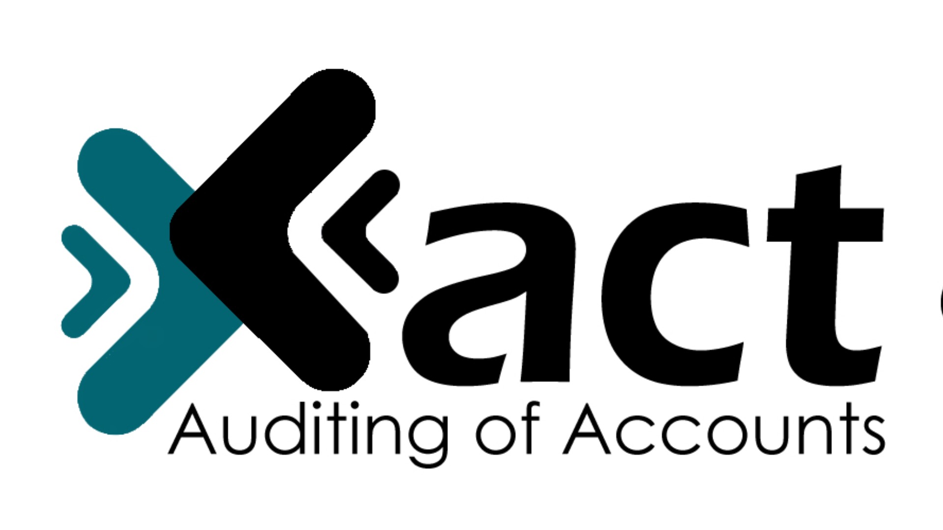 Comprehensive Audit & Accounting Services by Xact Auditing