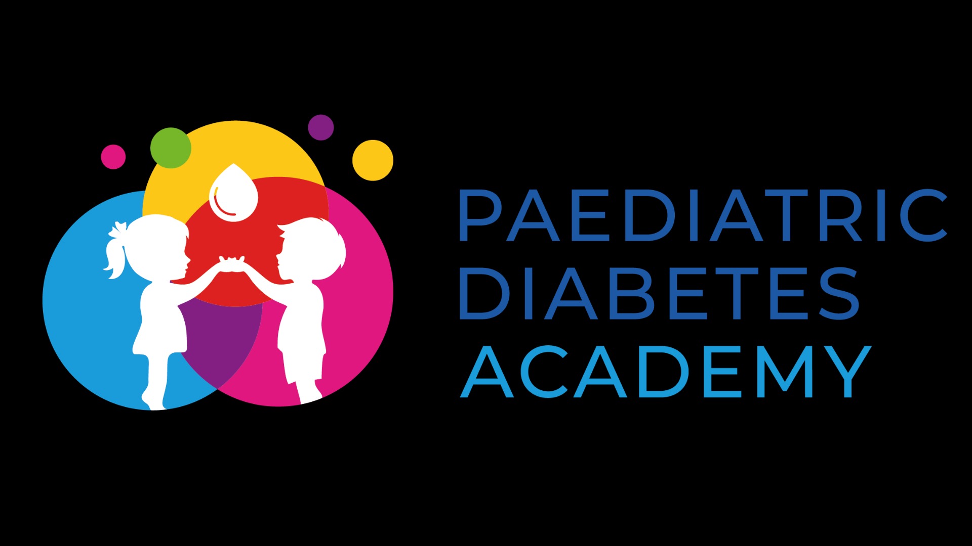 Paediatric Diabetes Academy