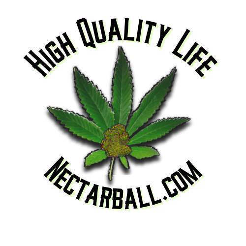 Produce and Distribute shows worldwide - View 3