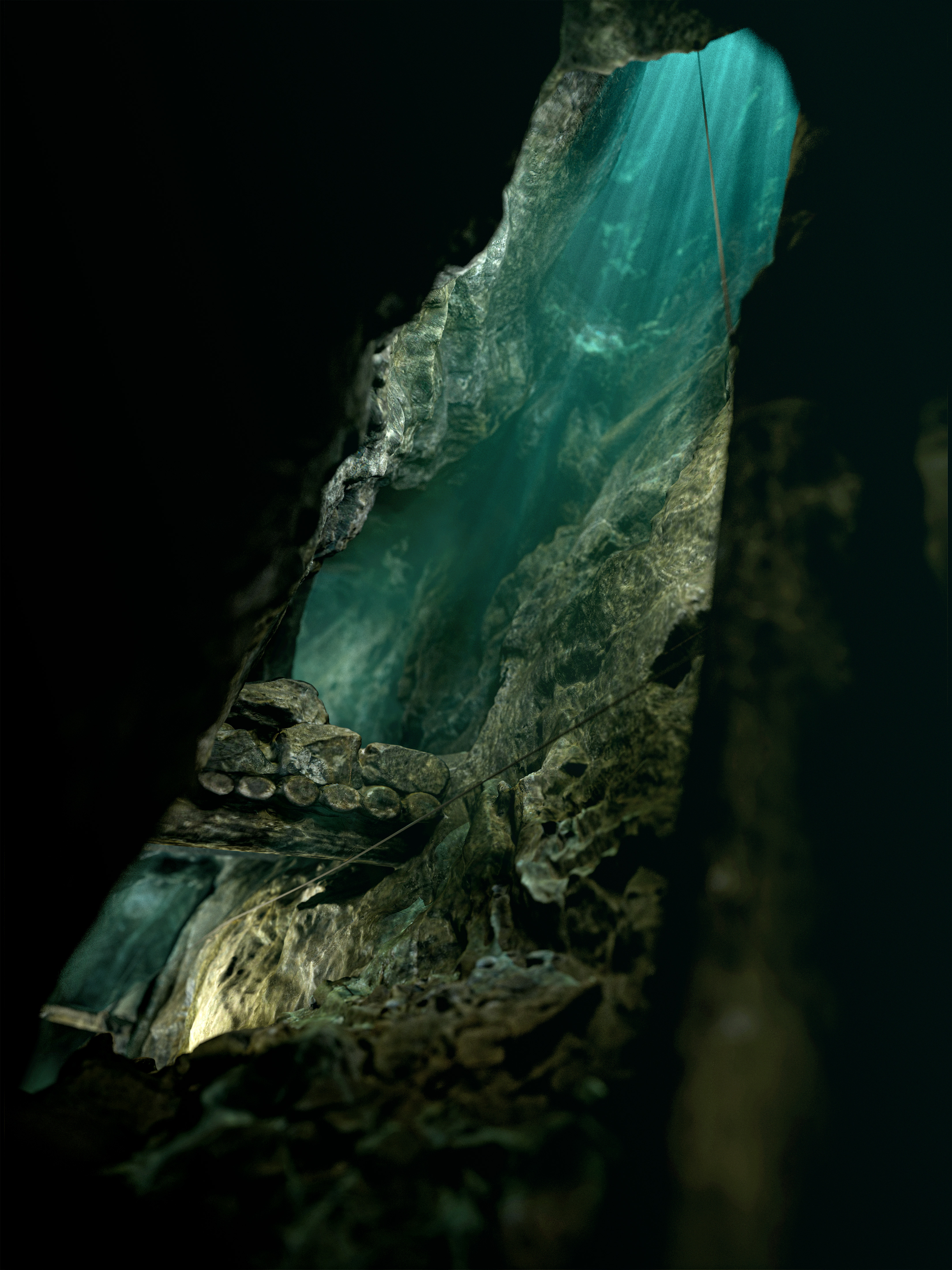 Underwater 3d scan render for an NGO - View 4