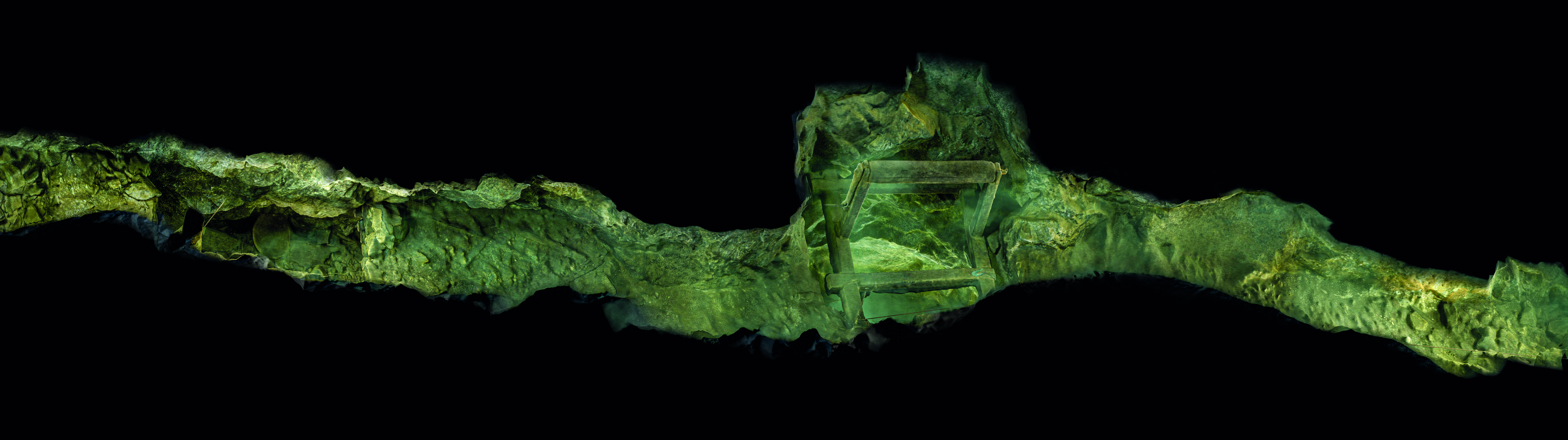 Underwater 3d scan render for an NGO - View 9