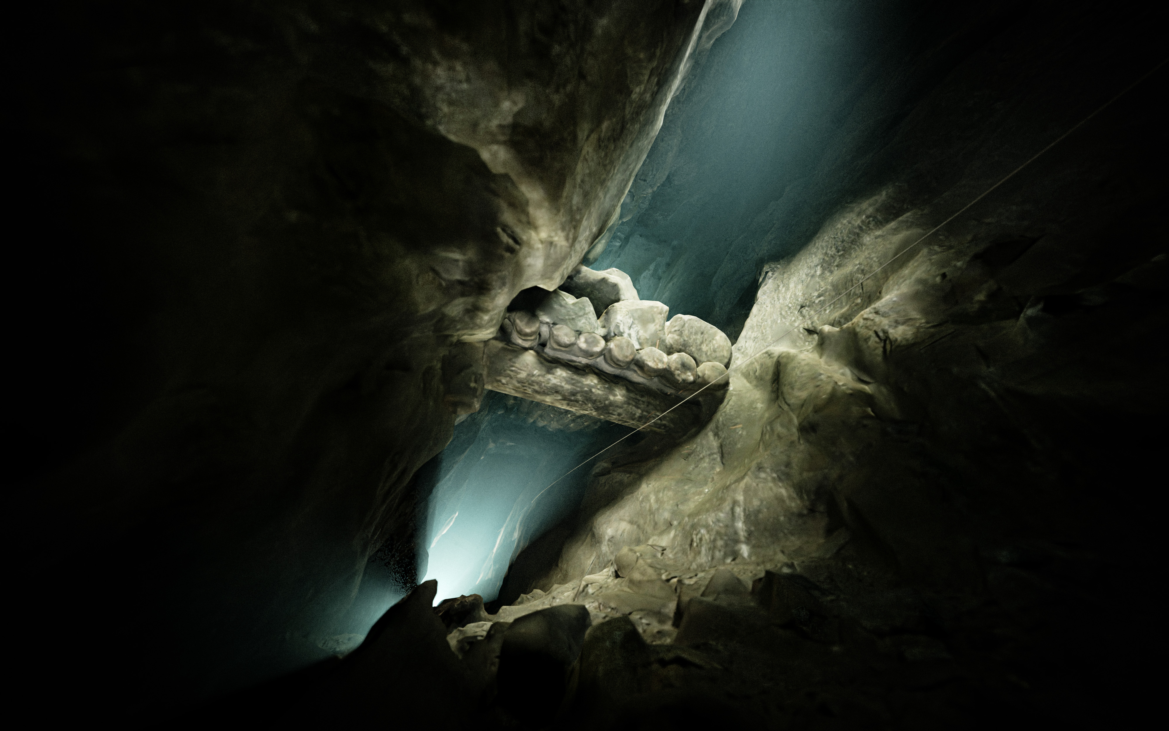 Underwater 3d scan render for an NGO - View 3
